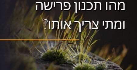 מהו תכנון פרישה